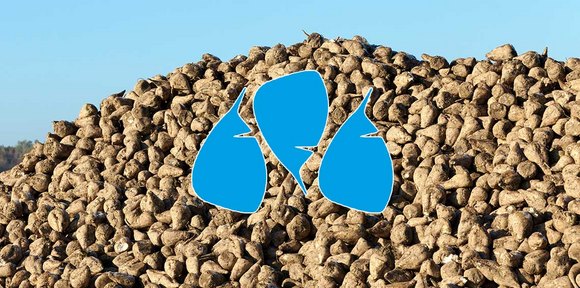 Sugar extraction beet