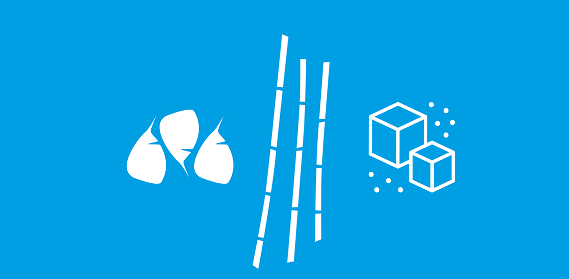 Sugar extraction